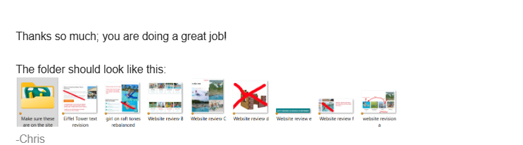 Client Review - Trustpilot
